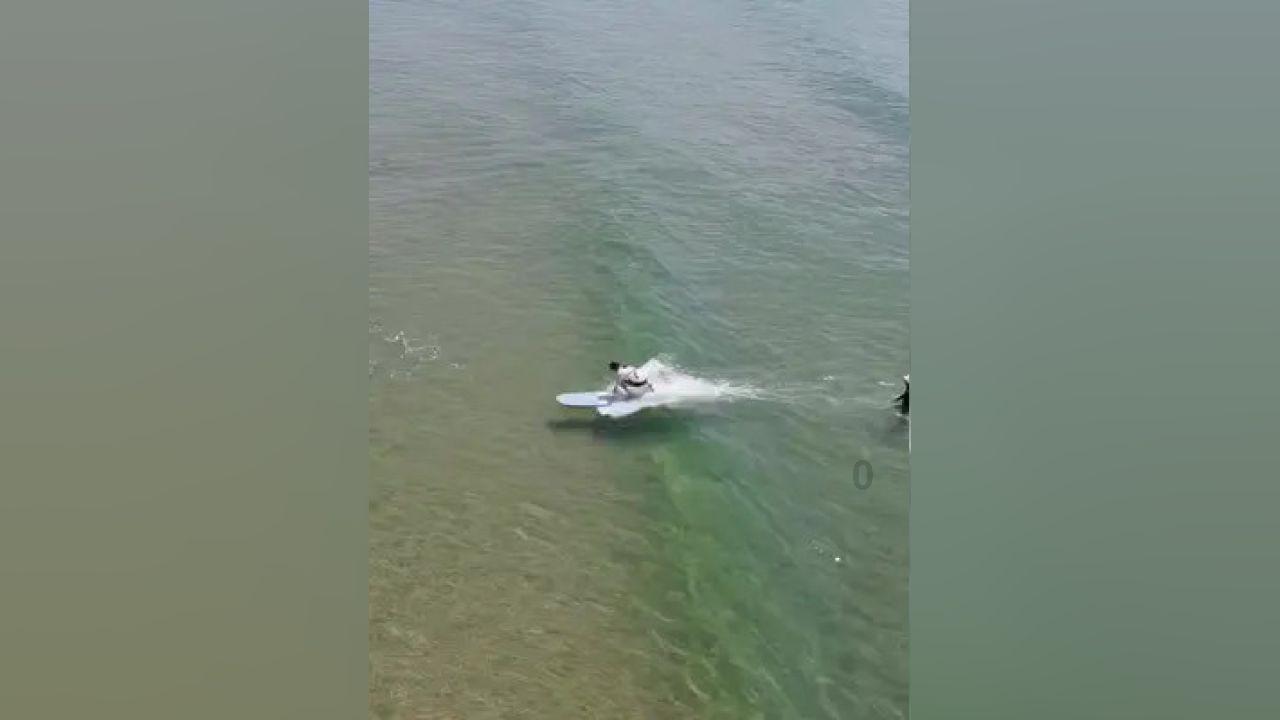 照顾小兔宝宝